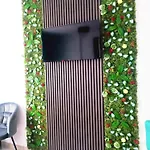 Eduard Elegance Rin * Бухарест