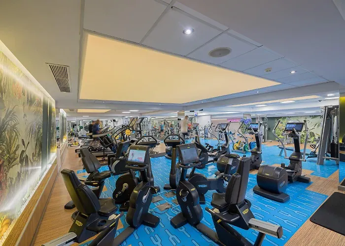 Eduard Elegance Rin * Bukarest