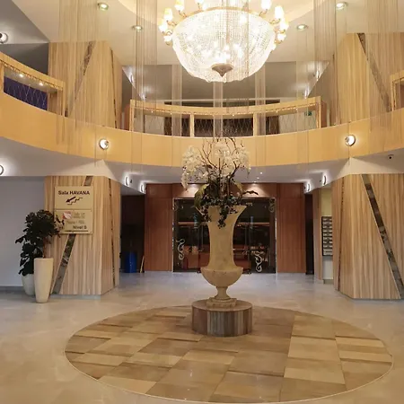 Eduard Elegance Rin *